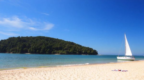 Top campings à l'île d'Oléron pour un séjour en nature